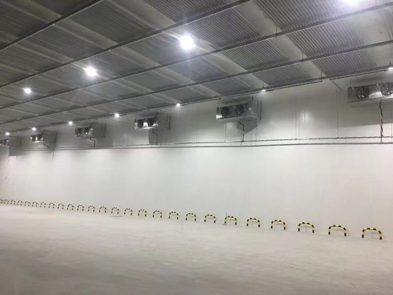 制冷機(jī)組冷庫(kù)成套案例